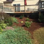 Mulch Bed Restore, Hobart 2016