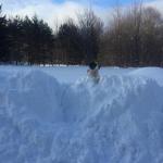 Snow Banks, East Meredith 2018