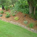 Roses Brook - Mulch Bed, 2011