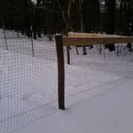 Township - Dog Fence Installation, Winter 2012