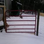 Township - 6' Metal Tube Gates