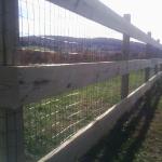 East Meredith - Three Boards on top of Welded Wire Fencing