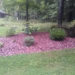 Stamford, 2015 - Mulch Bed Restore - Plant Shrubbery / Edge / Fabric / Mulch